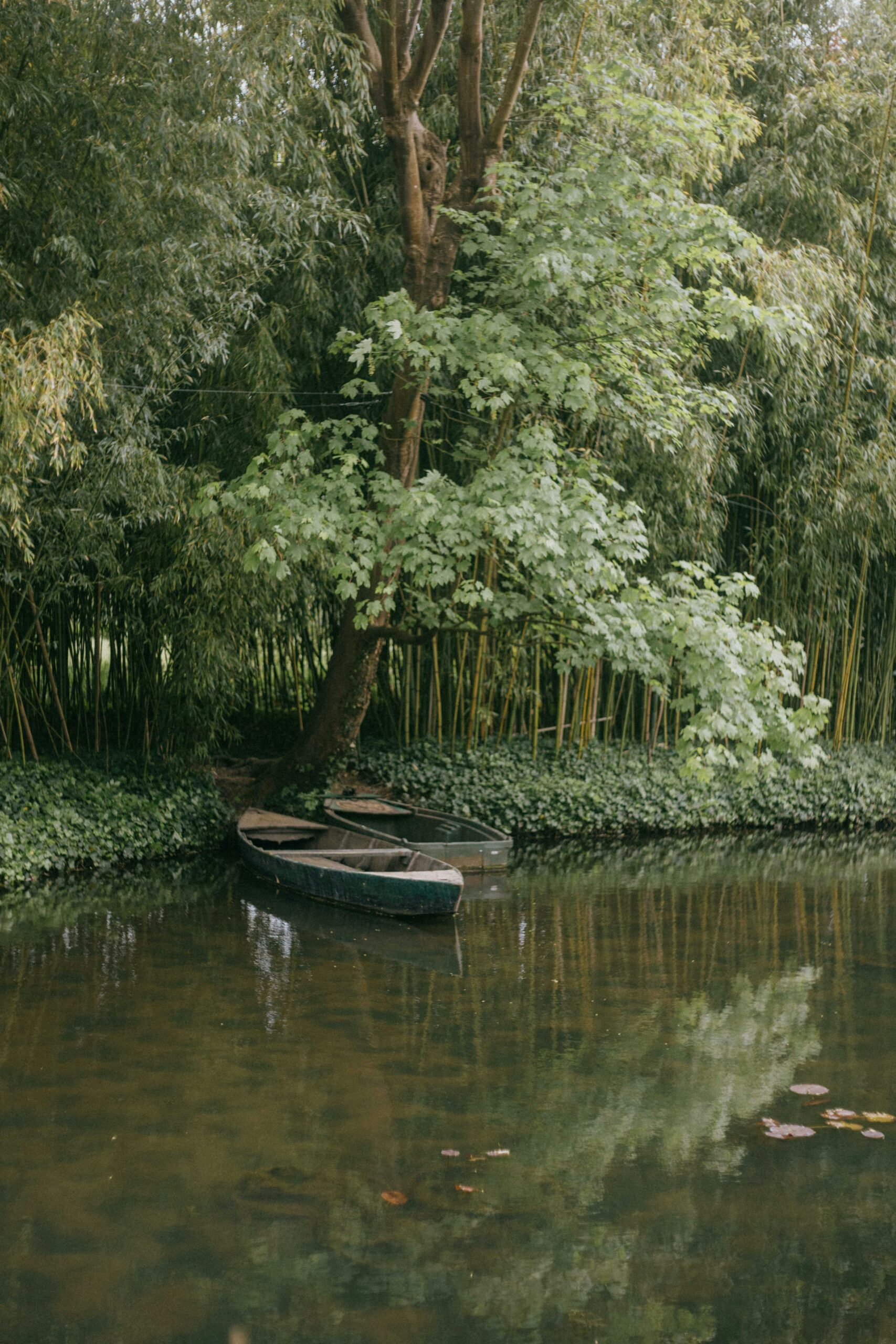Peaceful scene of a pond with boats in Monet's garden at Giverny, France.